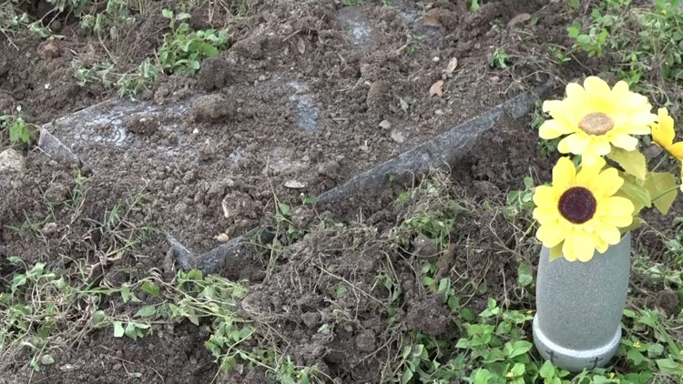 Feral hogs wreak havoc at San Antonio cemetery, frustrate community members — KENS 5 (San Antonio)
