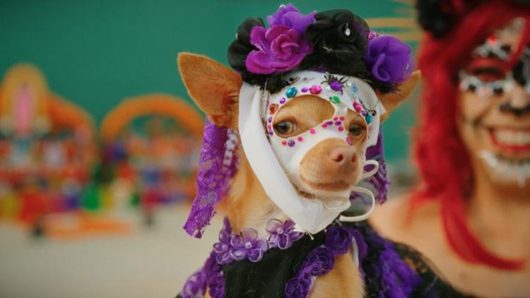 Free Día de los Muertos celebration brings music, memories and a movie to Mission Marquee Plaza — KENS 5 (San Antonio), San Antonio Community news