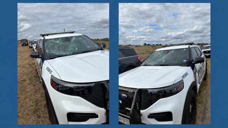 Deer strikes Hondo patrol car’s windshield, prompting rut-season warning for drivers — San Antonio Schools news
