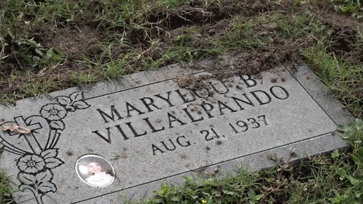 Feral hogs causing extensive damage to gravesites at Mission Park Cemetery in San Antonio.