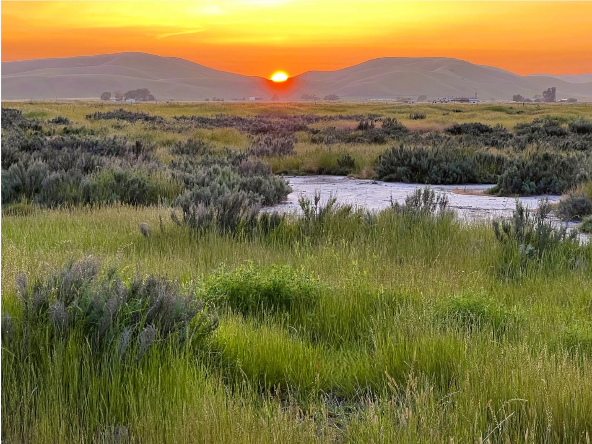 331 Acres Of Tri-Valley Wildlife Habitat, Open Space Permanently Protected — Danville Patch, San Antonio Community news