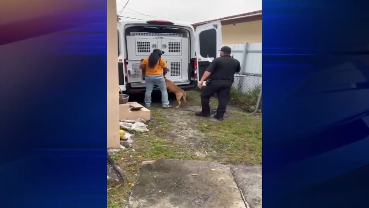 Animal control officials remove dog that bit 17-year-old girl from home as victim is discharged from hospital — WSVN 7 Miami-Dade